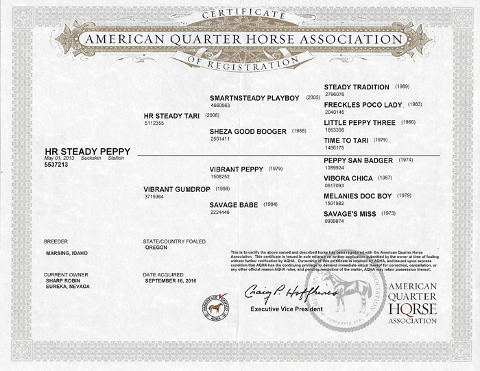 AQHA Certificate