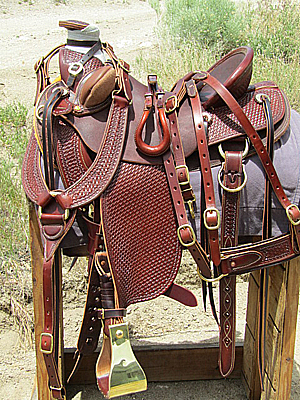 Custom Mule Saddle